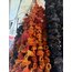 Kurutulmuş Dolma Biber  (Yeni sezon)