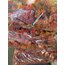 Kurutulmuş Dolma Biber  (Yeni sezon)