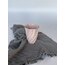 porcelain cup