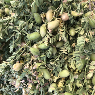 Nohut 1kg Yerli Mahsul- Yeni sezon