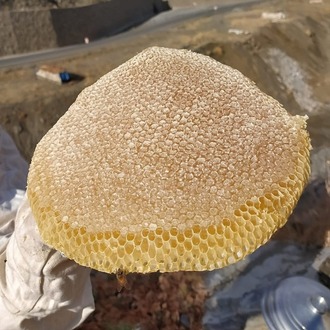 Malatya Kaya Balı 500 Gr