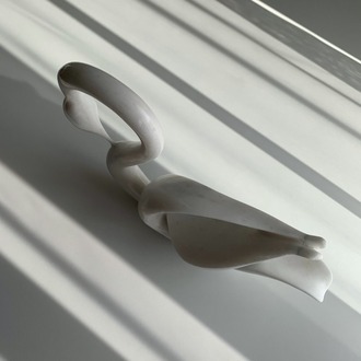 Swan of Light