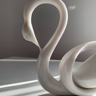 Swan of Light