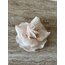 French Rose Candle