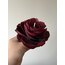 Peony Burgundy