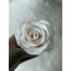 Classic White Rose Candle