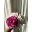 Dark Pink Peony