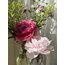 Dark Pink Peony