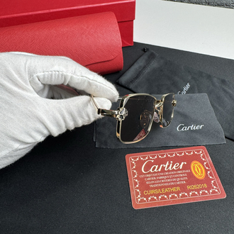 Cartier İthal Premium Gözlük (Model 3)