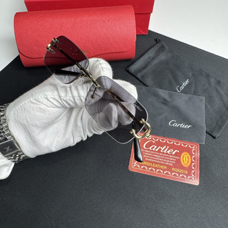 Cartier İthal Premium Gözlük (Model 2)