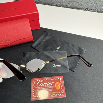 Cartier İthal Premium Gözlük (Model 5)