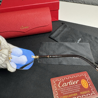 Cartier İthal Premium Gözlük (Model 6)