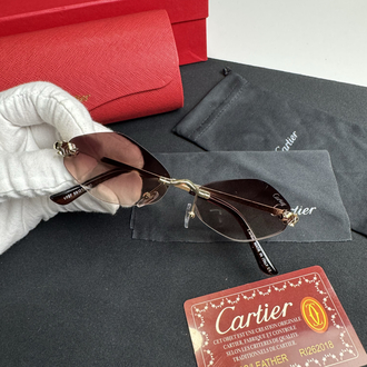 Cartier İthal Premium Gözlük (Model 5)