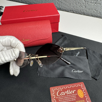 Cartier İthal Premium Gözlük (Model 5)