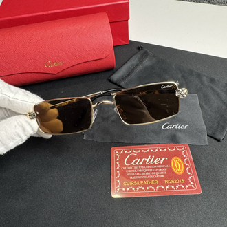 Cartier İthal Premium Gözlük (Model 3)