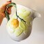 Yuzu Embossed Ceramic Jug 