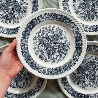 70’s Bleu Blanc Rustic Plates 