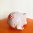 Handpainted Ceramic Piggy Penny Bank