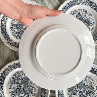 70’s Bleu Blanc Rustic Plates 