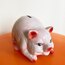 Handpainted Ceramic Piggy Penny Bank