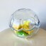 Football Shaped Glass Box
