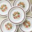 80’s “Veggies” Opaline Plates 