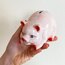 Handpainted Ceramic Piggy Penny Bank