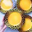 90’s Leopard Ceramic Plates by Haldun