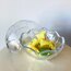 Football Shaped Glass Box