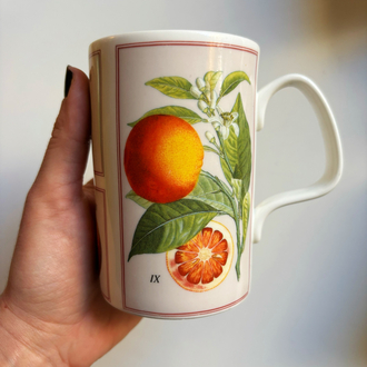 Botanical Mug from London National History Museum