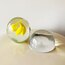 Midcentury Murano Paperweights 