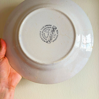 70’s English Ironstone Fish Wall Plate