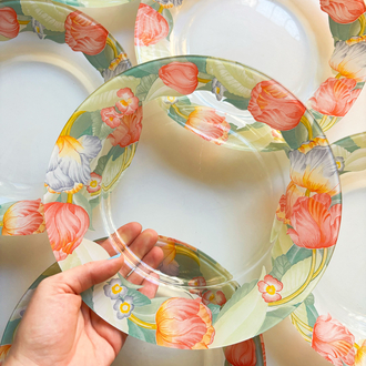 French Arcopal Floral Glass Plates
