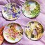 Flower Fairies Porcelain Wall Plates 