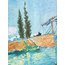 Vincent Van Gogh “Langlois Bridge” Framed Art