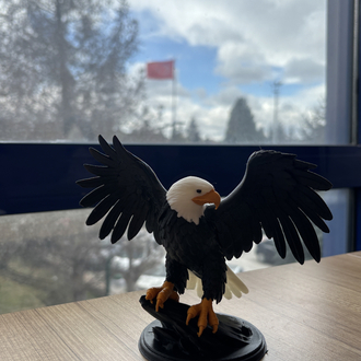 Kartal figür