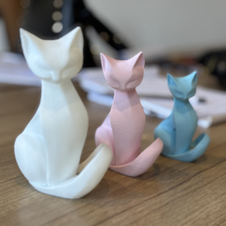 Luna Cat Takım