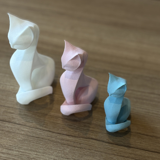 Luna Cat Takım