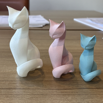 Luna Cat Takım
