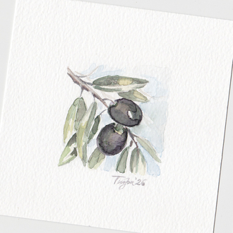 ZEYTİN DALI