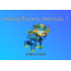 Maviğ Piyano Metodu 1