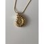 Seashell Kolye