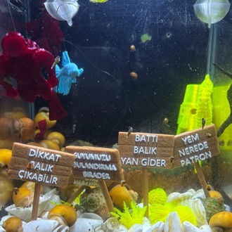 Akvaryum teraryum petshop dekor