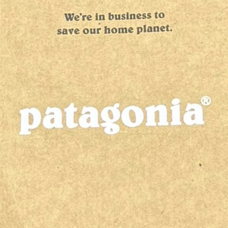Patagonia polar mont Haki