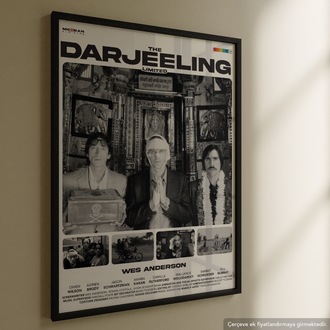 The Darjeeling Limited (Küs Kardeşler Limited Şirketi)