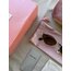 Miu Miu Brown Sunglasses 
