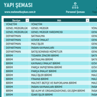 Excel Organizasyon Şeması Oluşturma