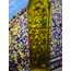 500ML CAM ŞİŞEDE NATURAL SIZMA ZEYTİNYAĞI 0.5 ASİT YENİ HASAT AYDIN DAĞ ZEYTİNYAĞI 