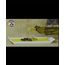 500ML CAM ŞİŞEDE NATURAL SIZMA ZEYTİNYAĞI 0.5 ASİT YENİ HASAT AYDIN DAĞ ZEYTİNYAĞI 