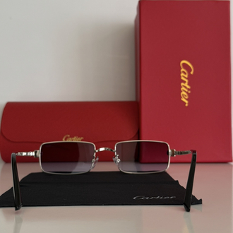 Cartier C4875 Gümüş Çerçeve 